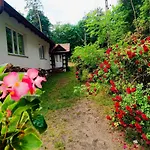 Radosna Apartment