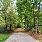 Radosna