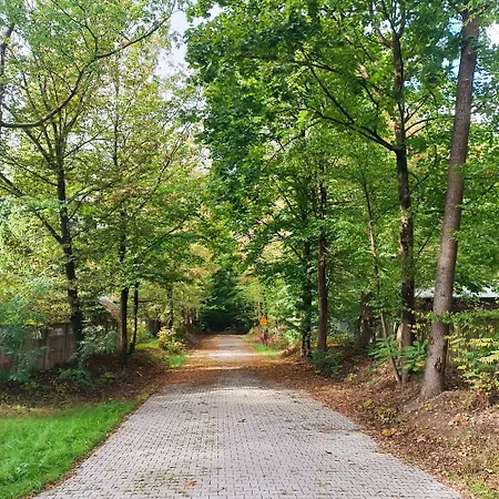 Radosna