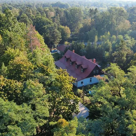 Radosna *